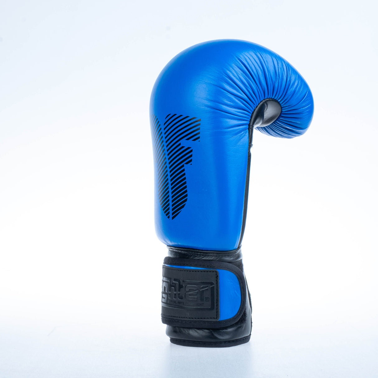 Fighter Boxhandschuhe Round – blau, 1376-RNDXB