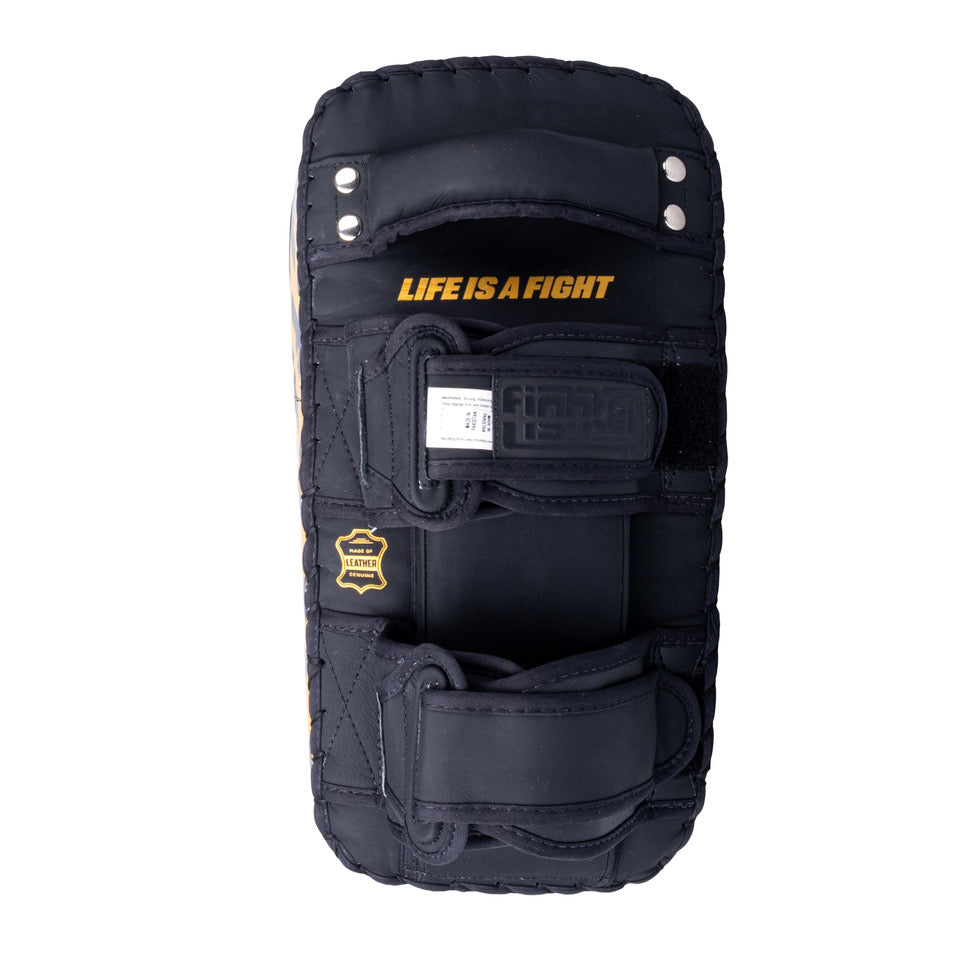 Fighter Thai Pratzen – Schwarz/Gold, FTP-001-12F