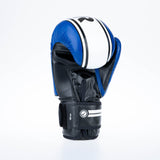 Fighter Boxhandschuhe Basic Stripe – blau