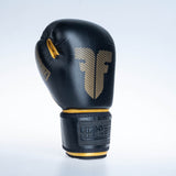 Fighter Boxhandschuhe Amateur – schwarz, 1376-BXG