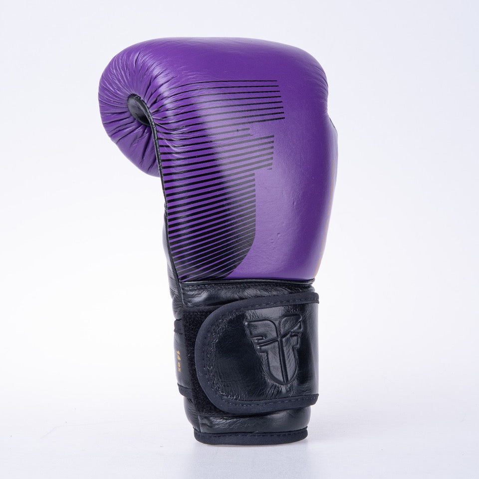 Fighter Pro Boxhandschuhe – lila/schwarz, FBG-PRO-006