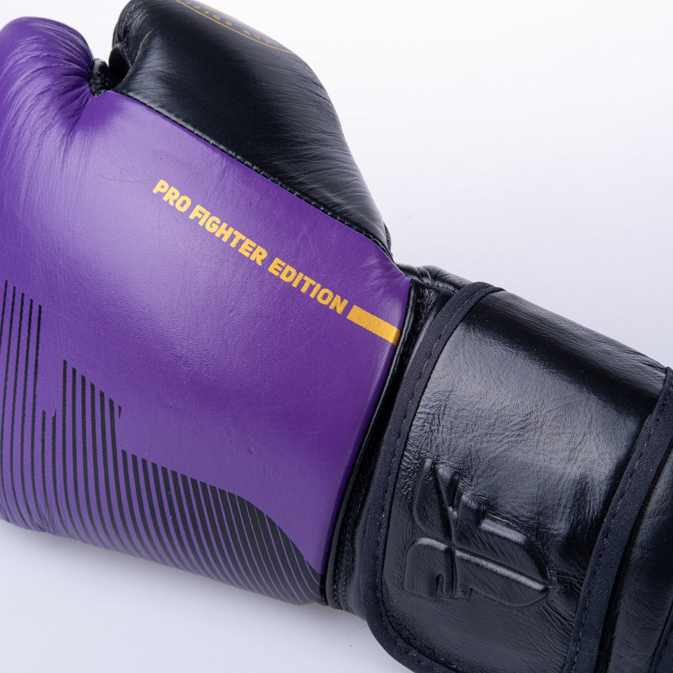 Fighter Pro Boxhandschuhe – lila/schwarz, FBG-PRO-006