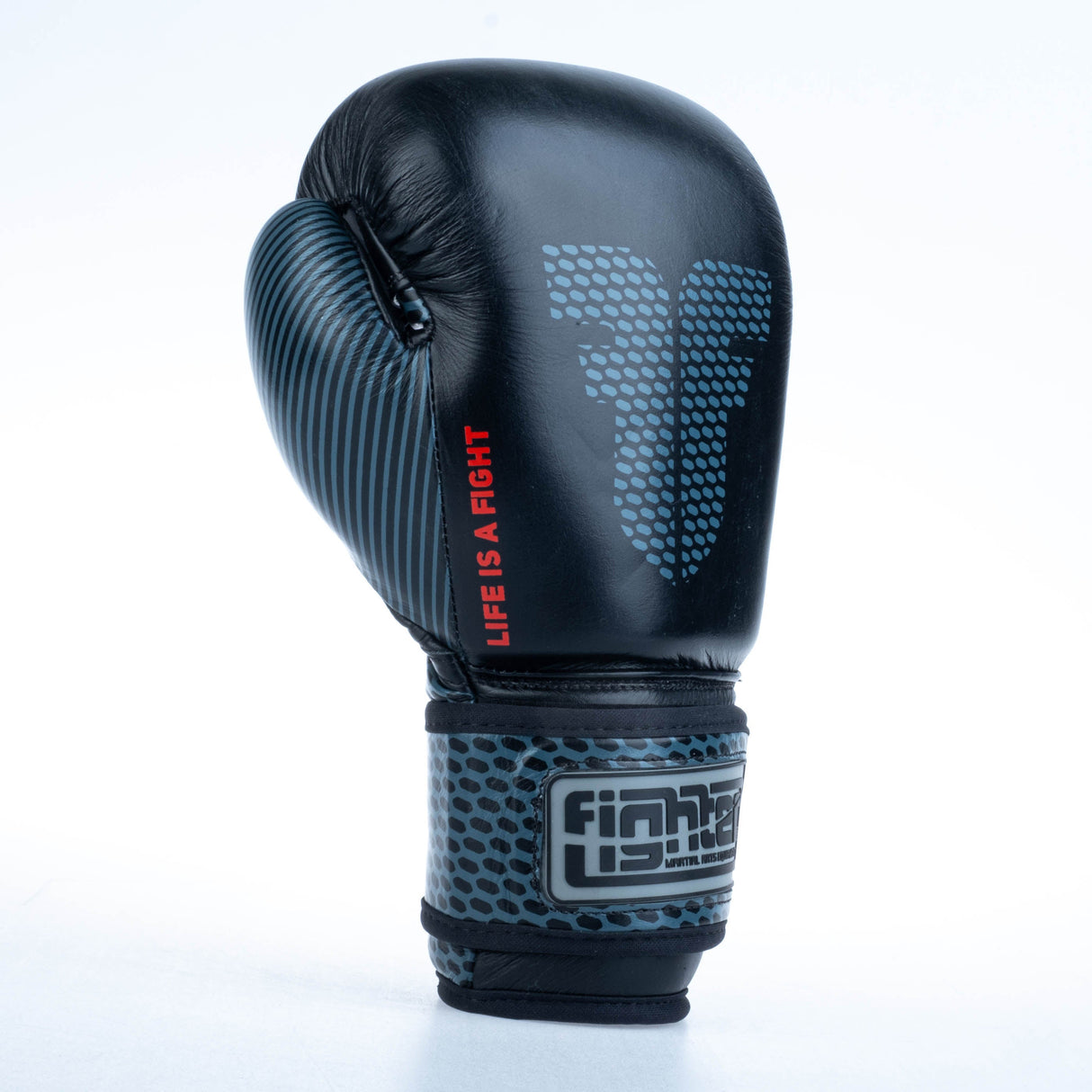 Fighter Boxhandschuhe Training – schwarz, FBG-TRN-002