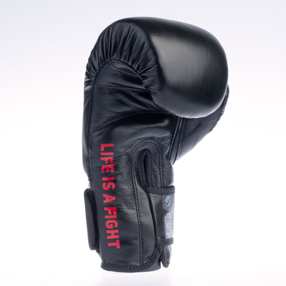 Fighter Training Boxhandschuhe – schwarz, FBG-TRN-005