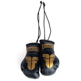 Fighter Mini-Boxhandschuhe – schwarz/gold