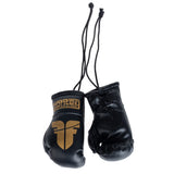Fighter Mini-Boxhandschuhe – schwarz/gold