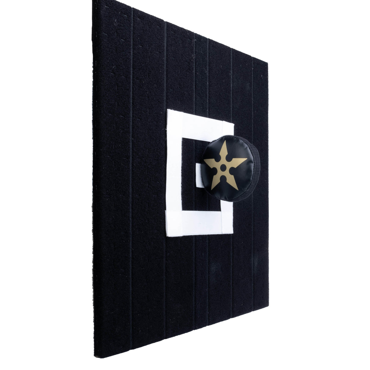 Fighter Practice Shuriken – schwarz, CSFSS-01